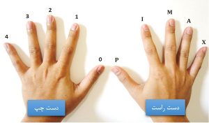 آموزش گیتار - مجید فاضلی - تمرین اول
