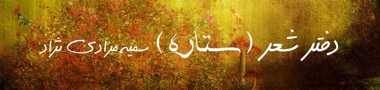 دفتر شعر دکتر سمیه مرادی نژاد « ستاره »
