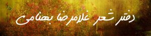 دفتر شعر غلامرضا بهنامی